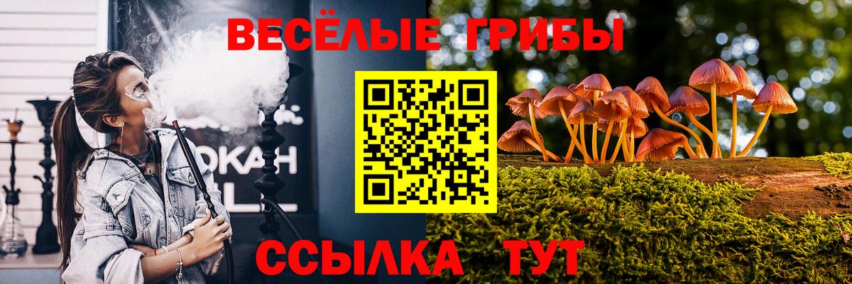 Галлюциногенные грибы Cubensis Подольск