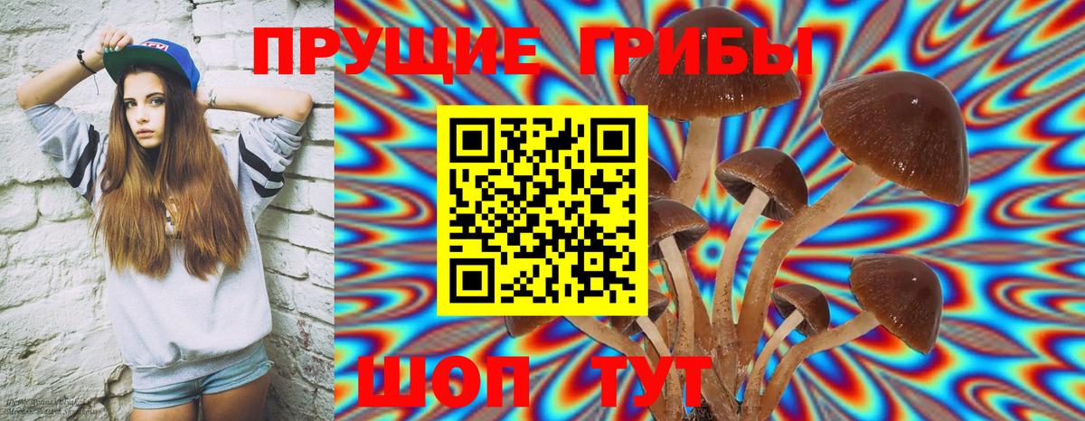 Псилоцибиновые грибы MAGIC MUSHROOMS  Вход с VPN  Подольск 